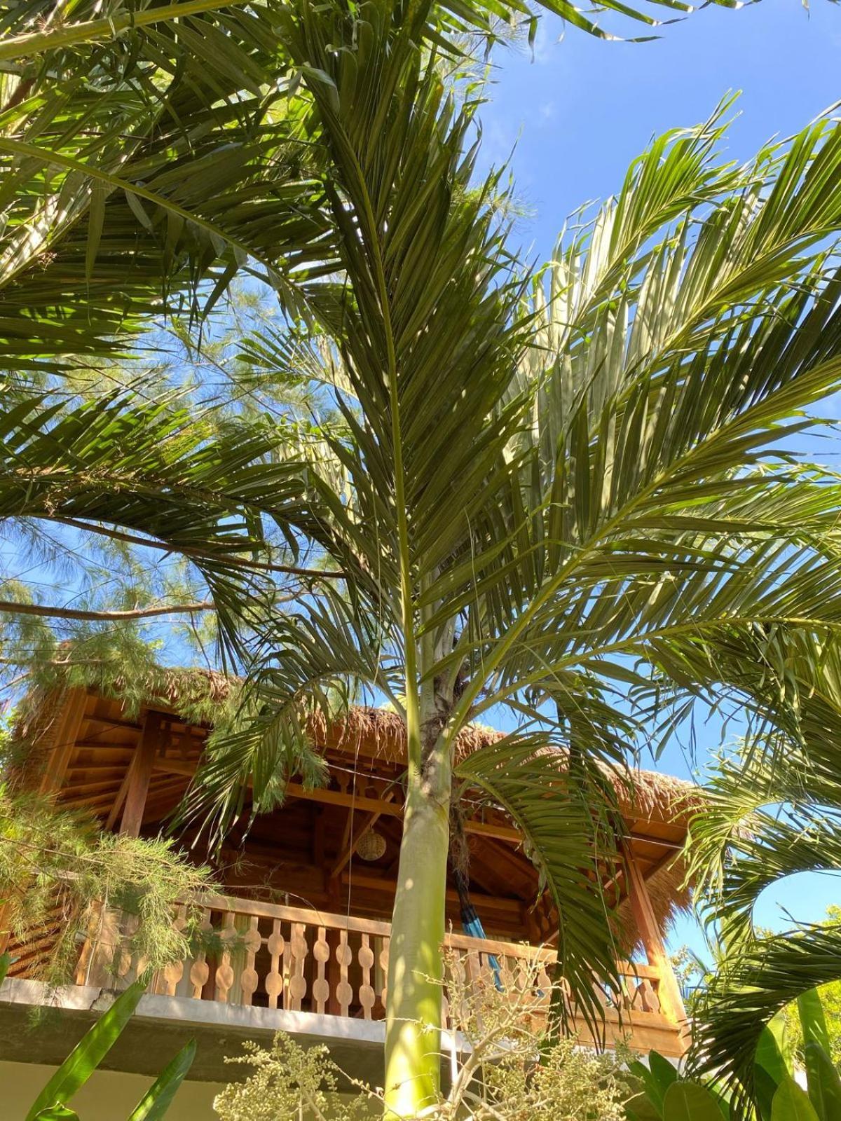 Palm Green Hotel Kuta  Eksteriør billede